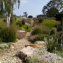 jenny's potential ideas for the front yard :)