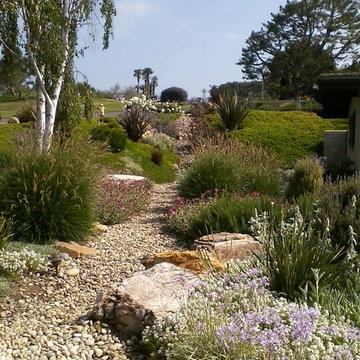Xeriscape Landscaping