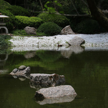 Lanterne japonaise de jardin et tortues
