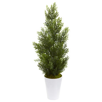 27" Mini Cedar Artificial Pine Tree in Planter, Indoor/Outdoor, White