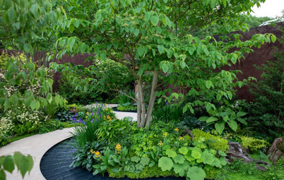 7 Inspiring Ideas for Small Yards from the Chelsea Flower Show