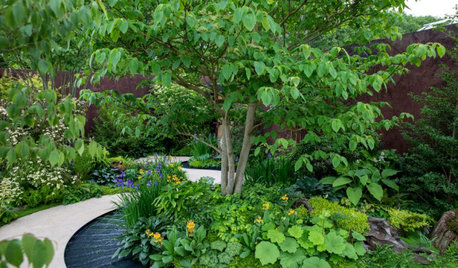 7 Inspiring Ideas for Small Gardens From UK's Chelsea Flower Show