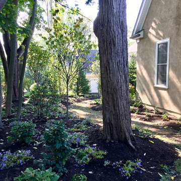 Villanova Plant Design and Install