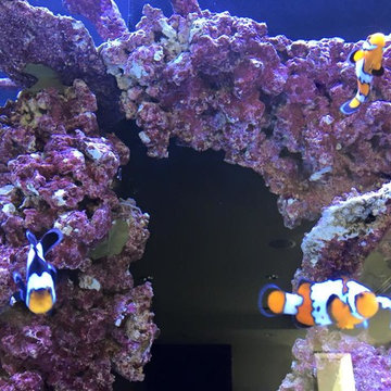 Custom Tank Lights