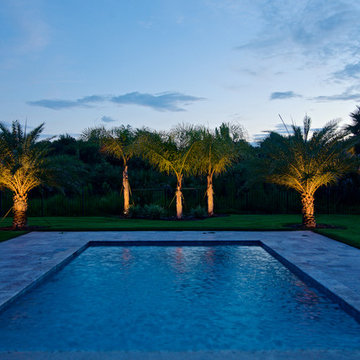 Ponte Vedra Remodel - Landscape Lighting