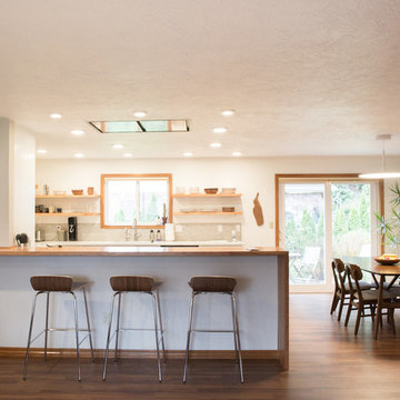 Mid Century Modern Kitchen