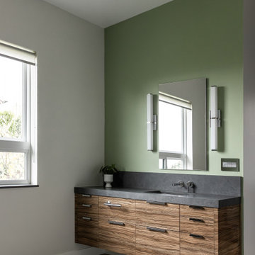 Modern Luxe Bathroom