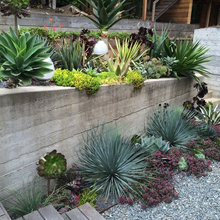 backyard/fountain area
