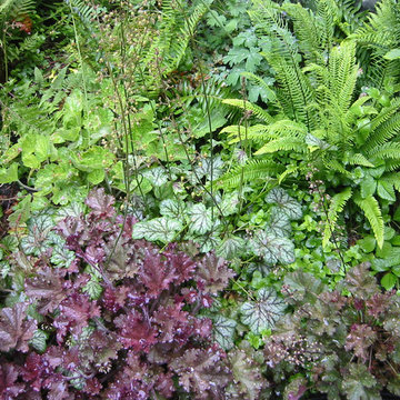 Woodland Garden, Kensington, CA