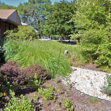 Modern Home Dry Creek