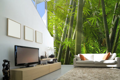 Transitional living room photo in Baltimore