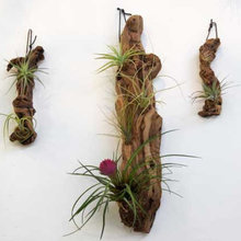 Natural art