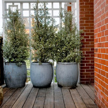 deck privacy