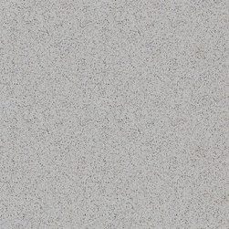QUARTZ COUNTER TOP AND FLOOR - Kitchen Countertops