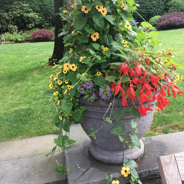 Adirondack Retreat