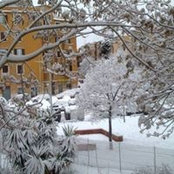 Foto von Ruba Radi