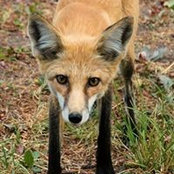 Andrew Morin's photo