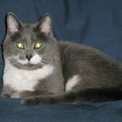 Lee Ann Cumpston's photo