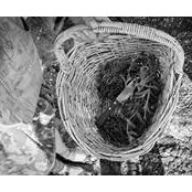 Jill Hermans's photo