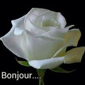 Azza Moez's photo