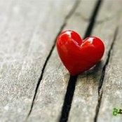 Ahmed El Shouny's photo