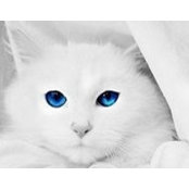 оксана грищук's photo