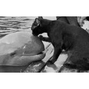 Azrin Abu Bakar's photo