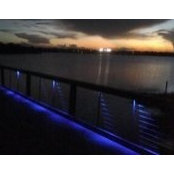 Patrick Martin's photo