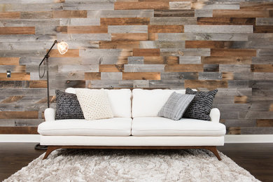 Example of a minimalist living room design in Other