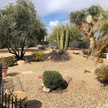 Wittmann AZ. exterior paint consultation