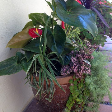 Container Garden