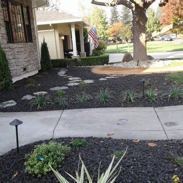 Arden Area Front yard
