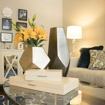 Before & Afters Orleans Living Room By Dea Attar