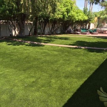 Backyards