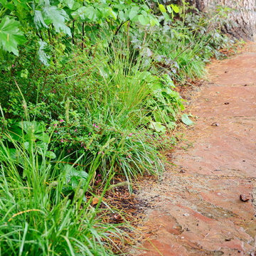 Hillside with Habitat and Food