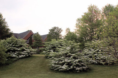 Photo of a traditional garden in Toronto.
