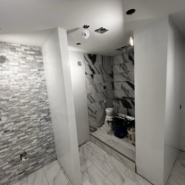 Basement Remodel