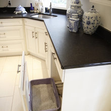 cat litter box hideouts