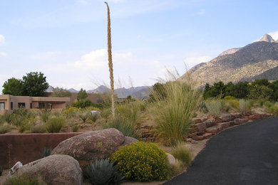 Design ideas for a southwestern landscaping in Albuquerque.