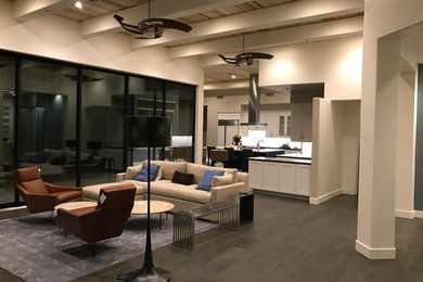 Living room - contemporary living room idea in Phoenix