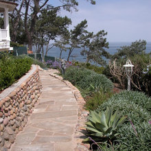 Mammee Bay Landscape