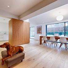 Fun Houzz: Colour Schemes That Complement Your Dog