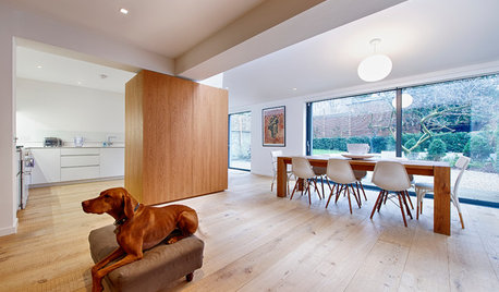Fun Houzz: Colour Schemes That Complement Your Dog
