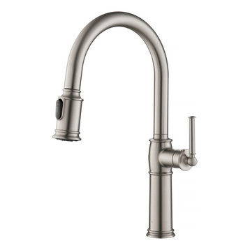Sellette 2-Function Pull-Down 1-Handle 1-Hole Kitchen Faucet Spot Free Stainless