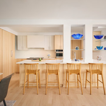 Crystal City High-Rise Transformation Kitchen