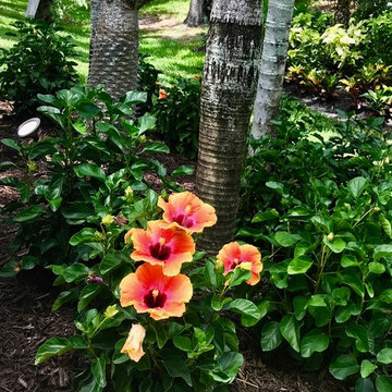 Residential Landscape Design