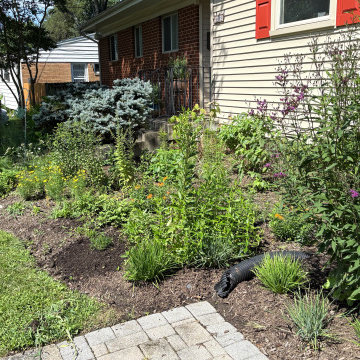After Photo - Front Yard