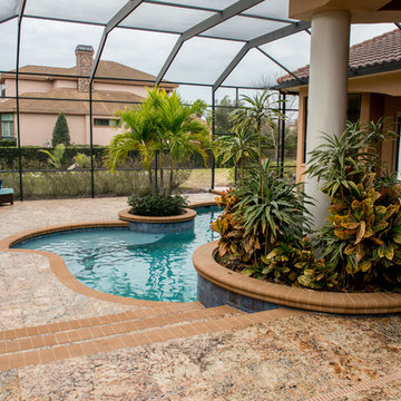Vienna Romanza Pool Deck