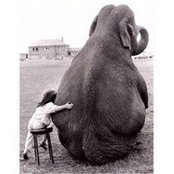 Ulviye Ugur's photo