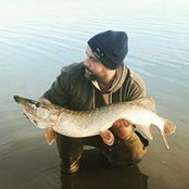 Foto von Martin Smith